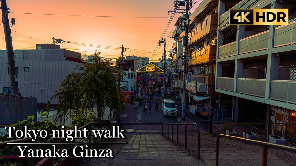 [4K HDR] ✨Walking through Old Japan at Night. Yanaka Ginza.october 2023