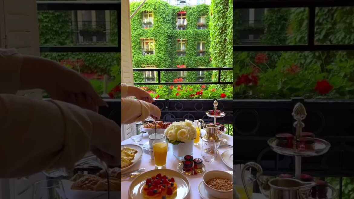 🌿 Dreaming of this morning breakfast #shorts #travel #vacation