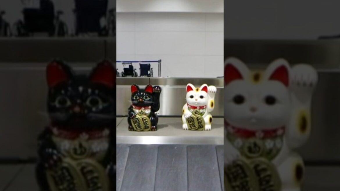 驚き!スナックタワー #Shorts #グルメ #旅行 #旅グルメ 驚き!スナックタワー #Shorts #グルメ #旅行 #旅グルメ