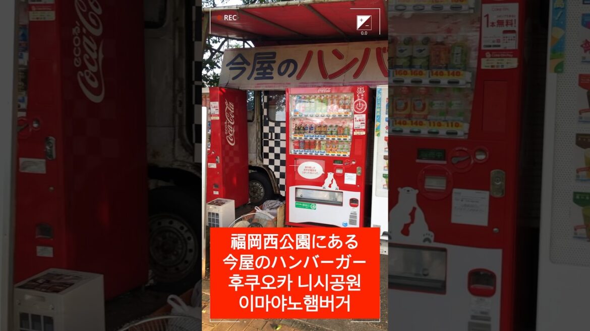 후쿠오카 니시공원 햄버거 福岡旅行西公園今屋のハンバーガー🍔#shorts #fukuoka #일본 #후쿠오카 #여행 #햄버거 #福岡 #旅行 #ハンバーガー #후쿠오카여행