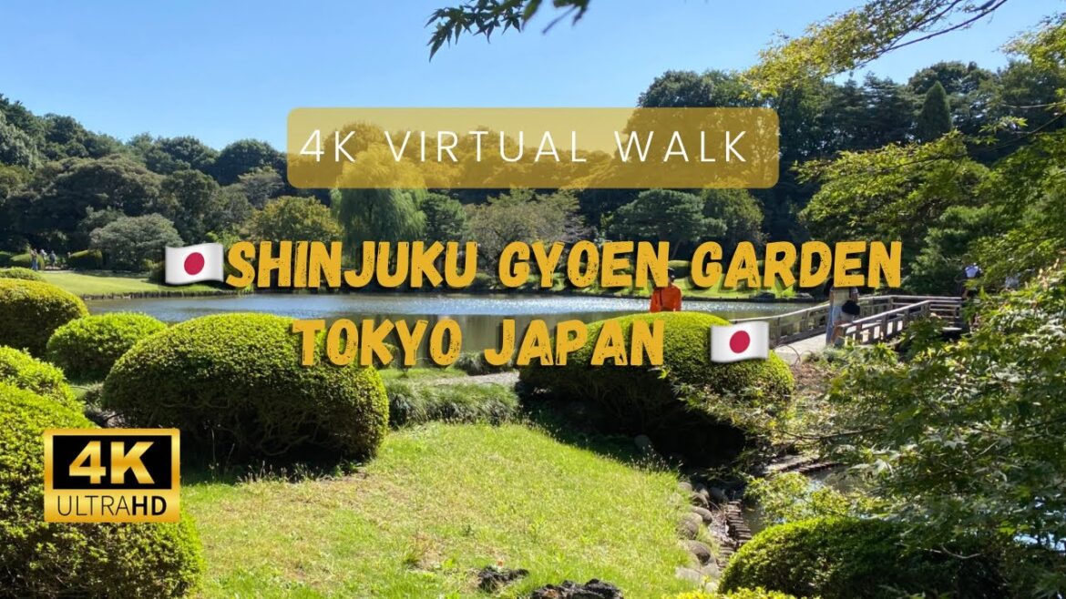 Shinjuku Gyoen National Park- Walking Tour 4K Tokyo Japan π―π΅ DJI Osmo pocket π₯ Shinjuku Gyoen National Park- Walking Tour 4K Tokyo Japan π―π΅ DJI Osmo pocket π₯