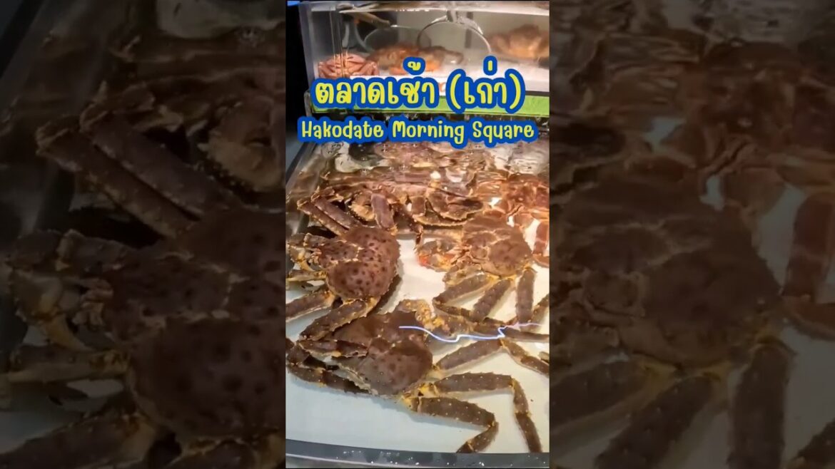 บรรยากาศตลาดเช้าฮาโกดาเตะ #ฮาโกดาเตะ #Hakodate #เที่ยวญี่ปุ่นด้วยตัวเอง #เนวิเกตุ้ย #Travel