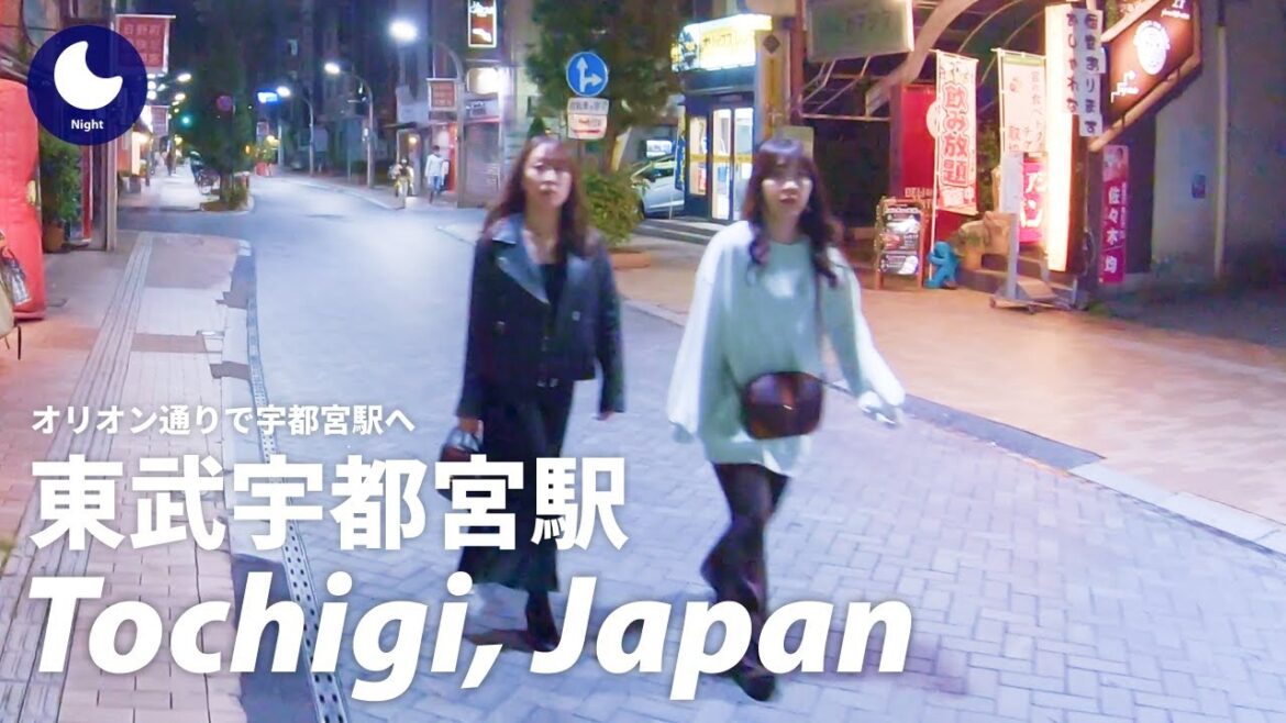 ⁴ᴷ Tochigi: Tobu Utsunomiya Station (東武宇都宮駅) - Japan Walking Tour 2020