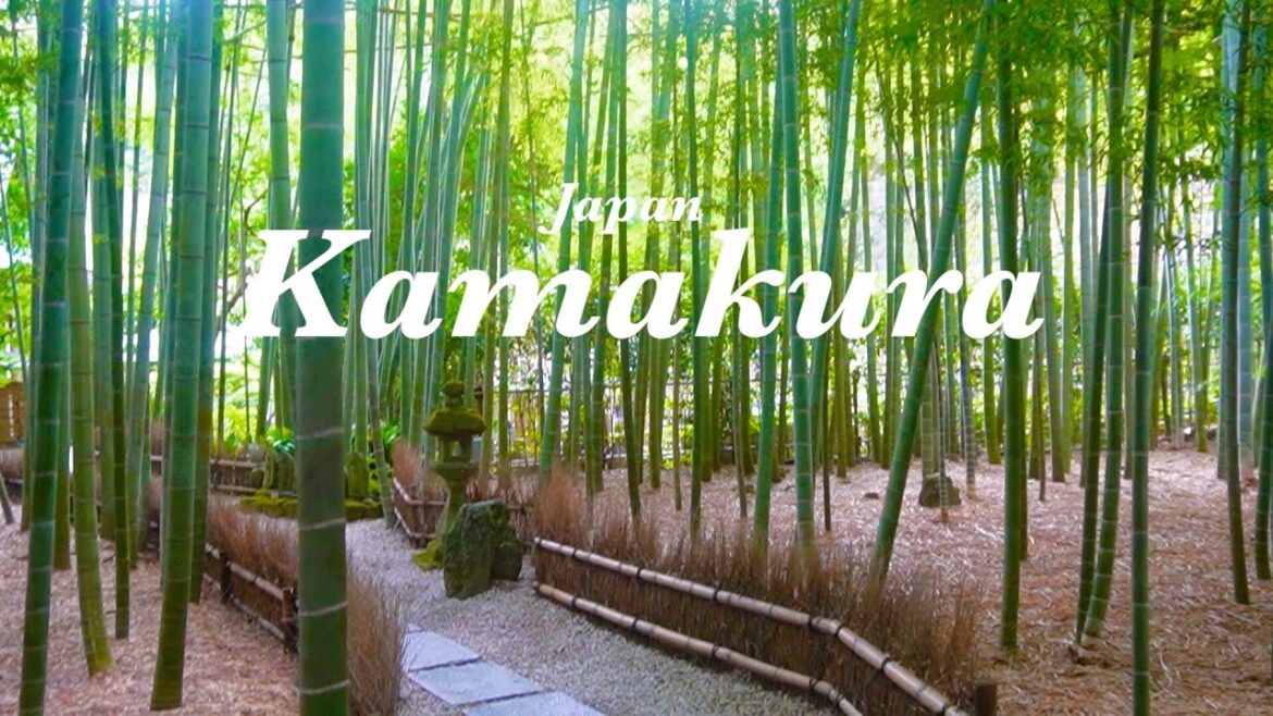 [Michelin three stars bamboo forest] Kamakura/day trip to enjoy Japanese style and gourmet food/vlog