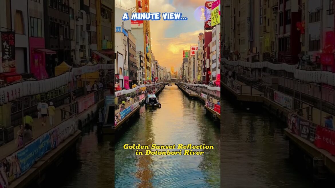 A MINUTE of View: DOTONBORI River #osaka