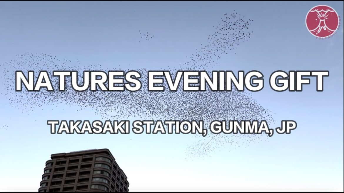 Natures Gift to Takasaki (Every Evening) Natures Gift to Takasaki (Every Evening)