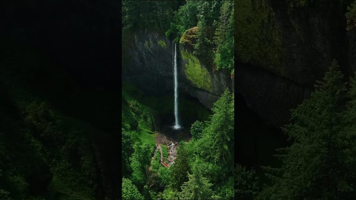an aesthetic tour of Oregon’s wonders! 🌲 #shorts #travel #vacation