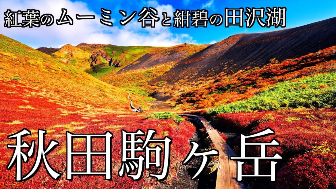 【登山】紅葉の秋田駒ヶ岳|絶景のムーミン谷と紺碧の田沢湖を望む東北の名峰<Japan in 4K> 【登山】紅葉の秋田駒ヶ岳|絶景のムーミン谷と紺碧の田沢湖を望む東北の名峰<Japan in 4K>