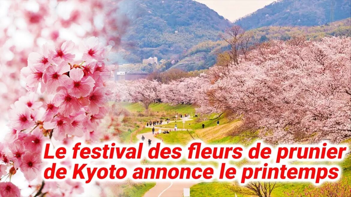 Kyoto au printemps avec le festival des fleurs de prunier au sanctuaire Kitano Tenmangu !