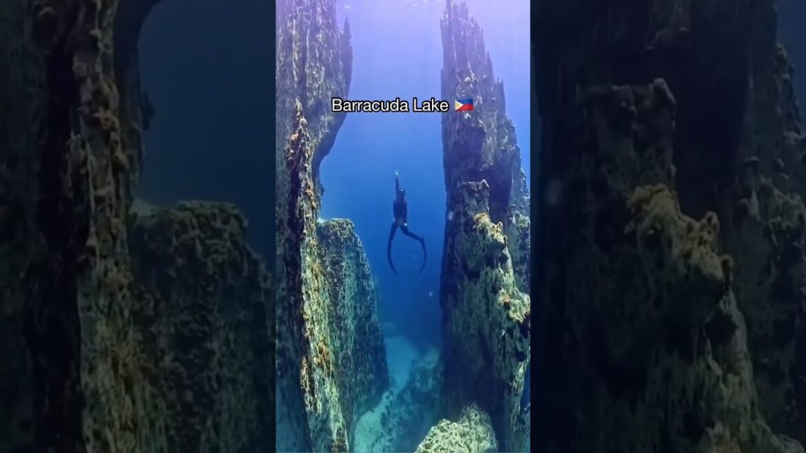 🌴Exploring Unimaginable Places🌊✨😍✈ #travel #nature #explore #adventure #vacation #relaxing 🌴Exploring Unimaginable Places🌊✨😍✈ #travel #nature #explore #adventure #vacation #relaxing