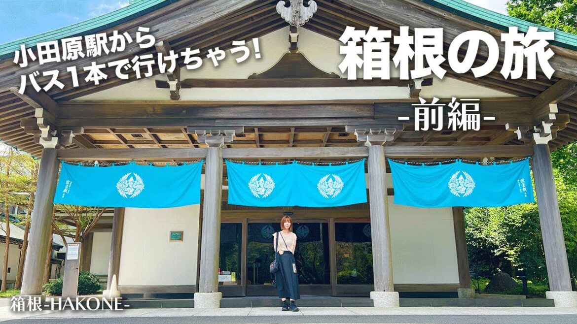 【龍宮殿♪】箱根旅行の前編(絶景日帰り温泉 龍宮殿本館)vlog神奈川 / Kanagawa Hakone Travel #vlog