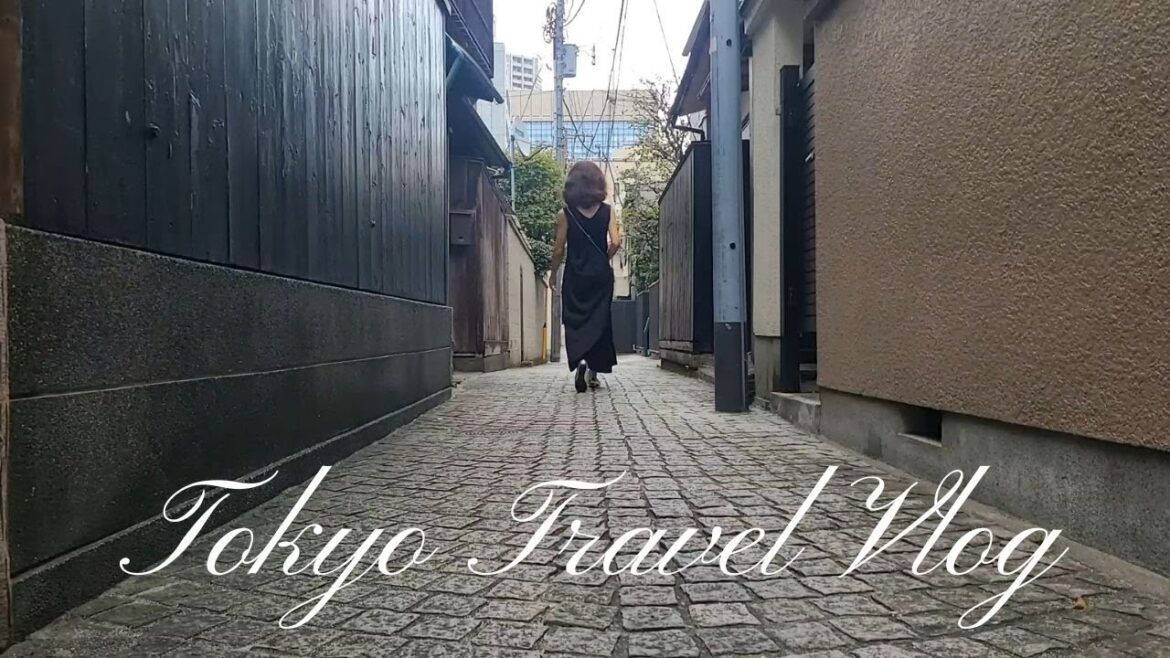 Tokyo Travel Vlog |Kagurazaka, Little Paris in Tokyo |Walking tour in Geisha street |Japanese sweets