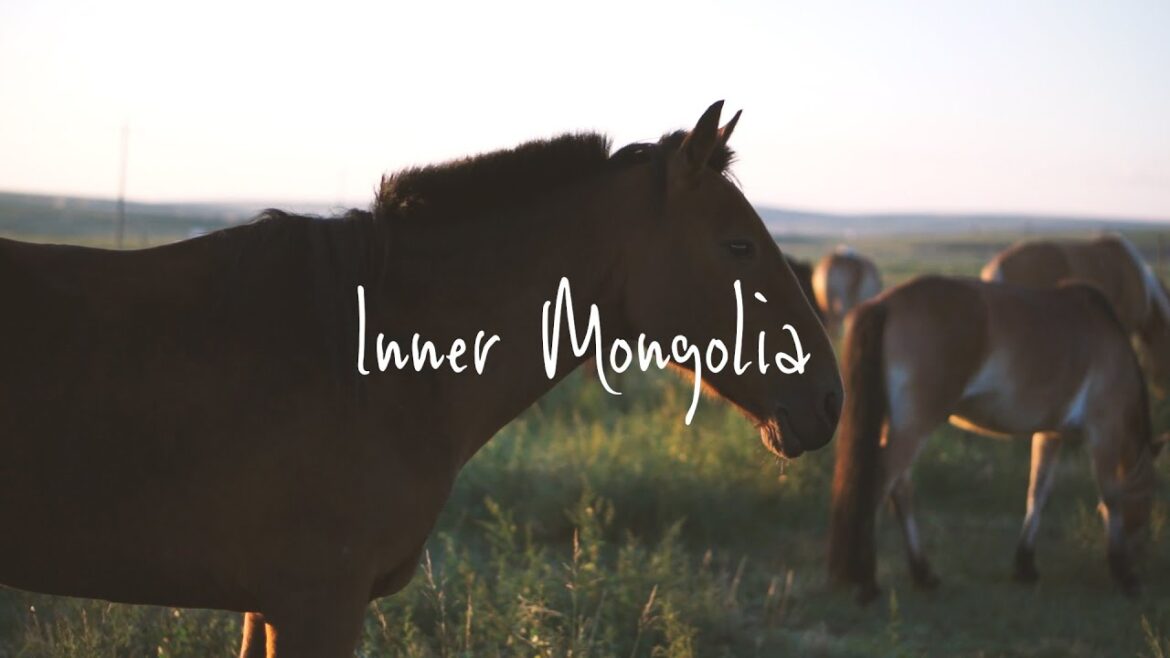 Inner Mongolia - 内モンゴル馬の旅
