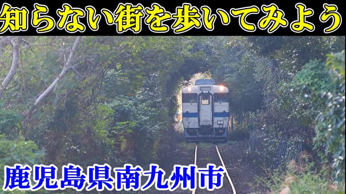 伊能忠敬も認めた絶景と磨崖仏の公園をを歩く～Japan travel　【日本まち歩き】鹿児島県南九州市