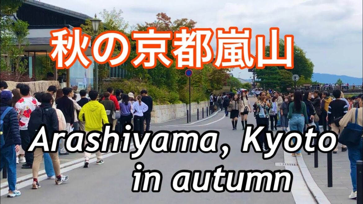 秋の京都嵐山　昼の散歩🍃 Autumn afternoon walk in Arashiyama, Kyoto 2023年10月14日