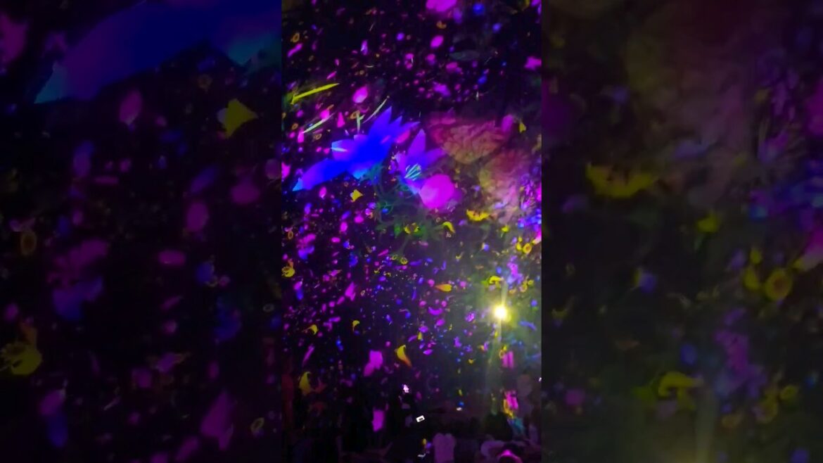 🇯🇵Welcome to Tokyo🇯🇵