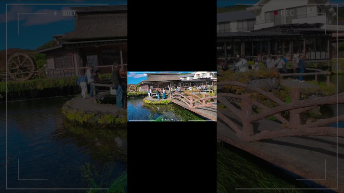 Oshino Hakkai: Eight Pristine Springs at the Foot of Mount Fuji