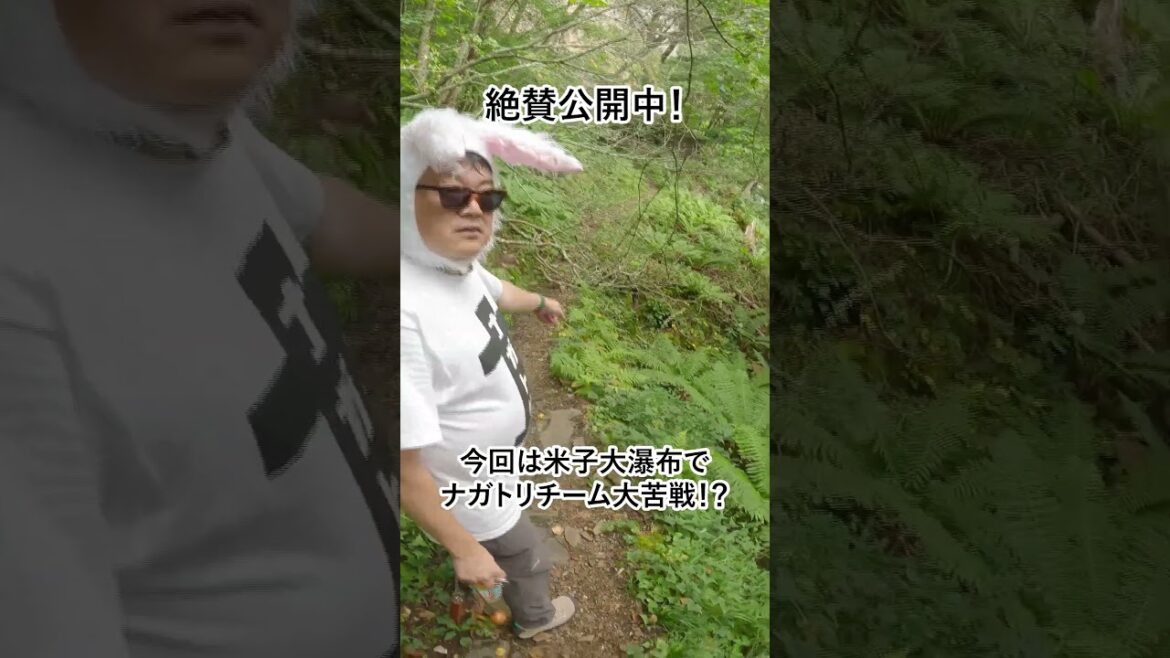 【ナガトリ】長野の滝を巡る_後編(復活米子大瀑布) #長野県 #須坂市 #米子大瀑布 #日本の滝百選 【ナガトリ】長野の滝を巡る_後編(復活米子大瀑布) #長野県 #須坂市 #米子大瀑布 #日本の滝百選