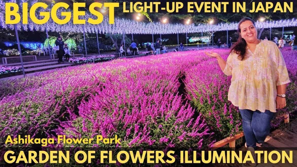 Incredible Flower Garden Light Show In Japan At Ashikaga Flower Park | Winter Lights In Japan