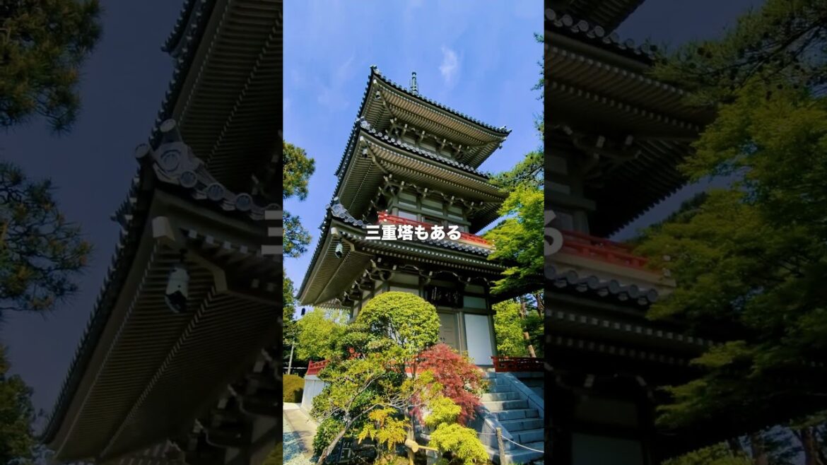 キレイな日本庭園が見られる伊達家ゆかりのお寺