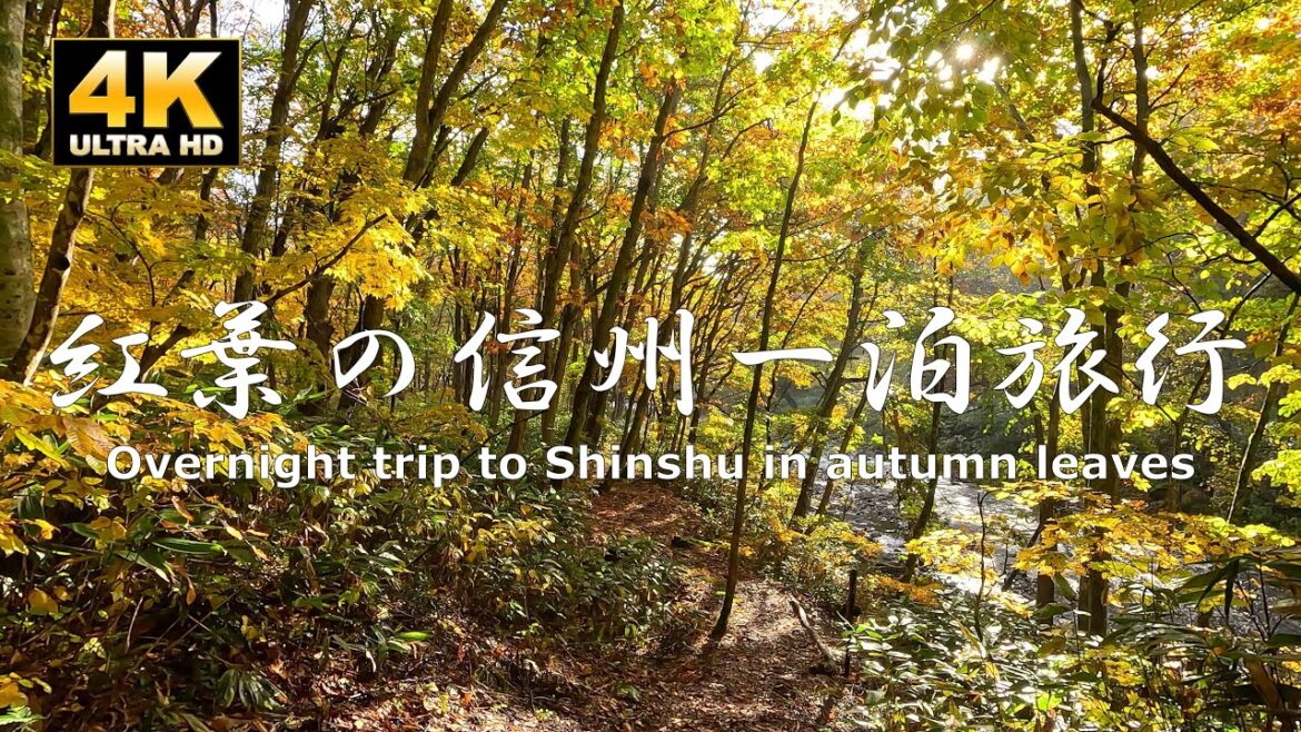 Kusatsu Onsen - Shiga Kogen - Obuse - Zenkoji Temple and Kawanakajima Old Battlefield