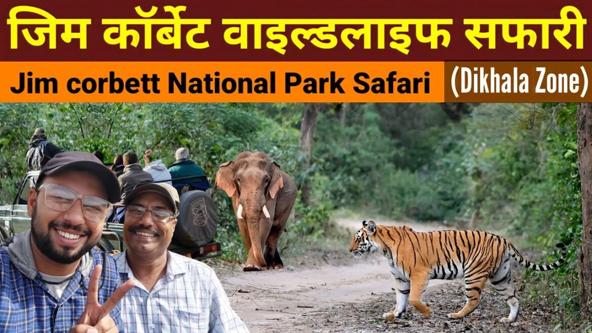 Jim Corbett National Park | Dhikala zone | wildlife safari | Tiger & Elephant Jungle Safari Jim Corbett National Park | Dhikala zone | wildlife safari | Tiger & Elephant Jungle Safari