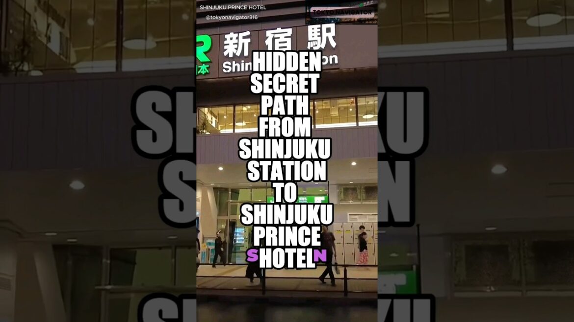HIDDEN SECRET PATH - SHINJUKU STATION