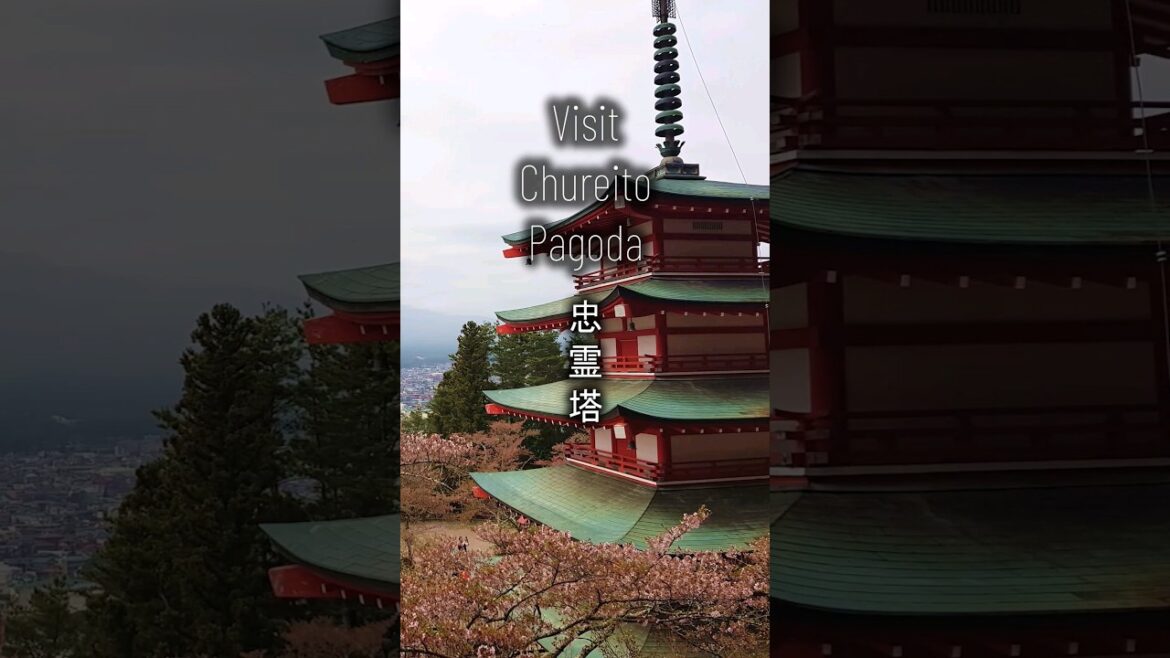 Chureito Pagoda, Mount Fuji and Sakura #japan #mountfuji #sakura 🌸🗻🏯🗾