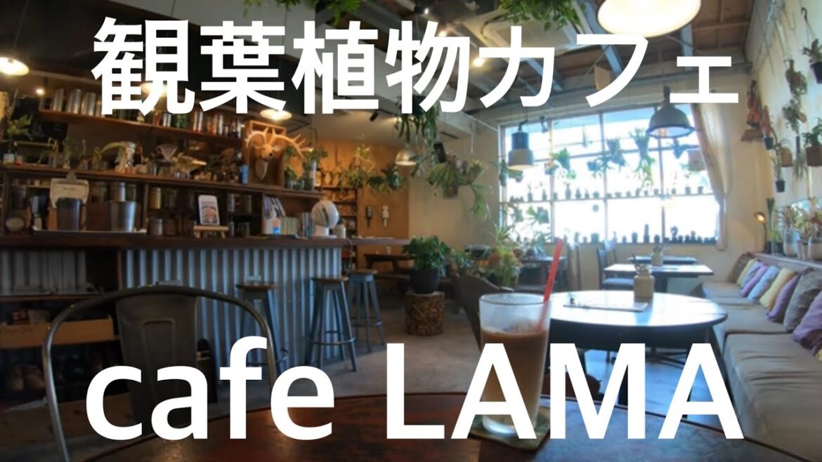 珈琲時間「刈谷 カフェ ラマ CAFE LAMA 観葉植物 グリーン」愛知 名古屋 観光 旅行 カフェ活 カフェ巡り オシャレ オススメ 勉強 知立 東海 安城 三河 岡崎 ガレージ garage