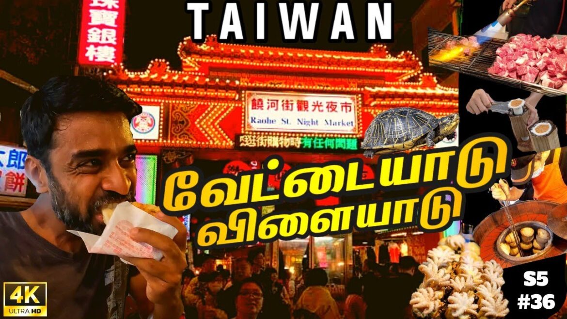 🐙World Famous Night food Market tour | Taiwan ep11