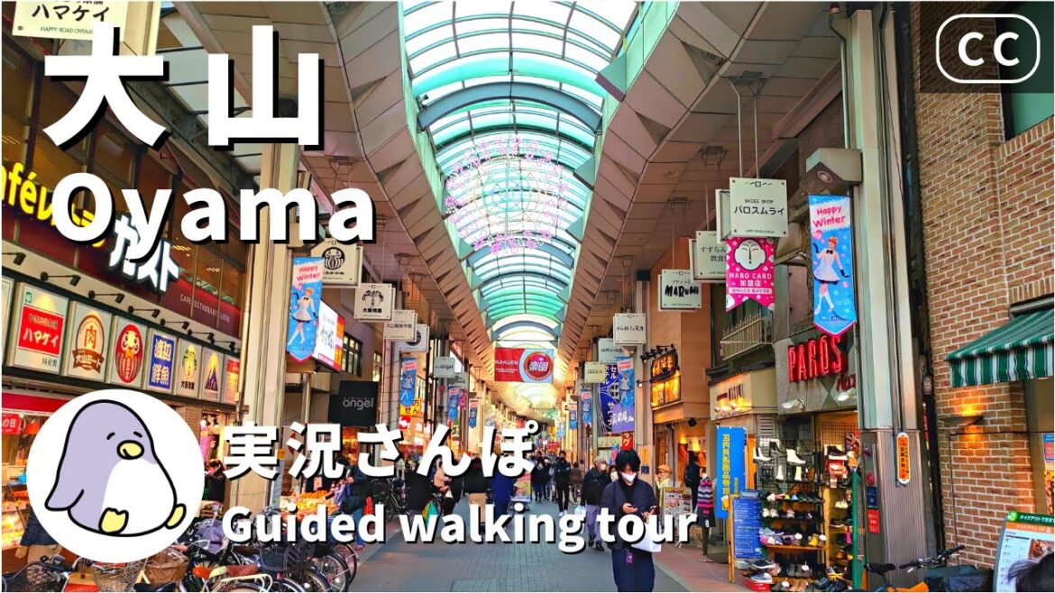 【4K実況街紹介】大山ってどんな街？ハッピーロード大山商店街、遊座大山商店街などをめぐる Walking around Oyama Station