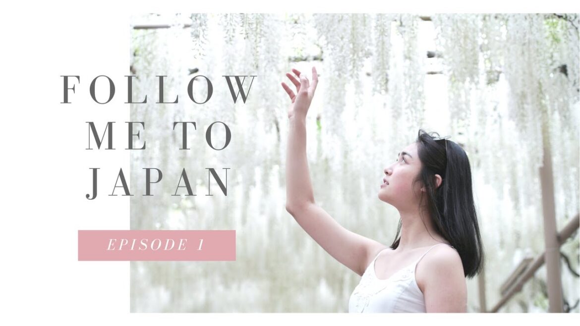 Japan Vlog Episode 1 | Tokyo Japan Vlog Episode 1 | Tokyo