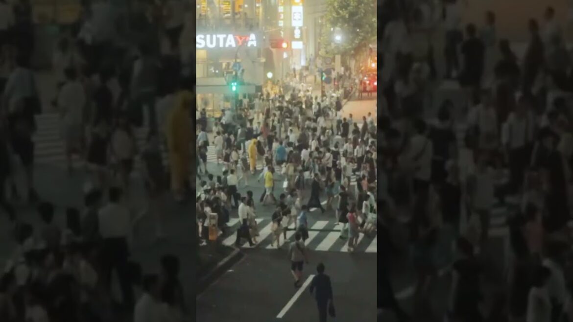Tokyo Japan Crazy Rush Hour !! Shibuya Crossing #shorts #travel #japan #tokyo