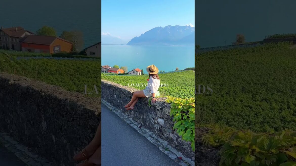 Places in the Swiss Riviera you must go at least once ❤️🇨🇭 #shorts #travel #vacation