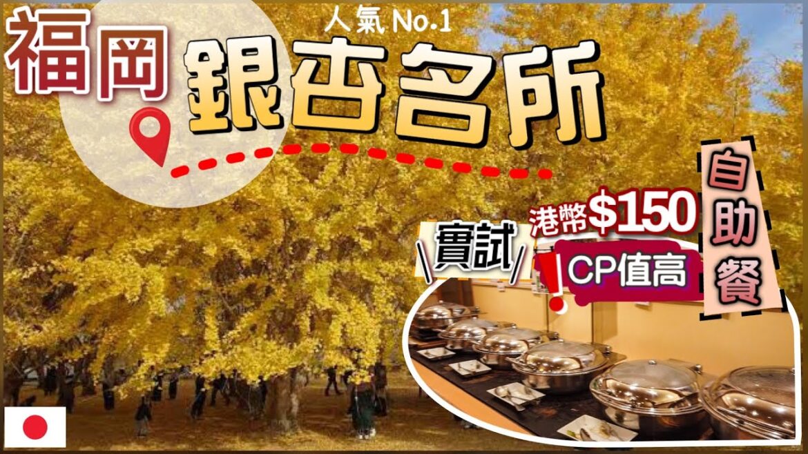 [福岡紅葉遊] 金黃色浪漫銀杏森林 | 交通攻略 | 實測超便宜$150自助餐有什麼吃？| 溫泉+自助餐超滿足