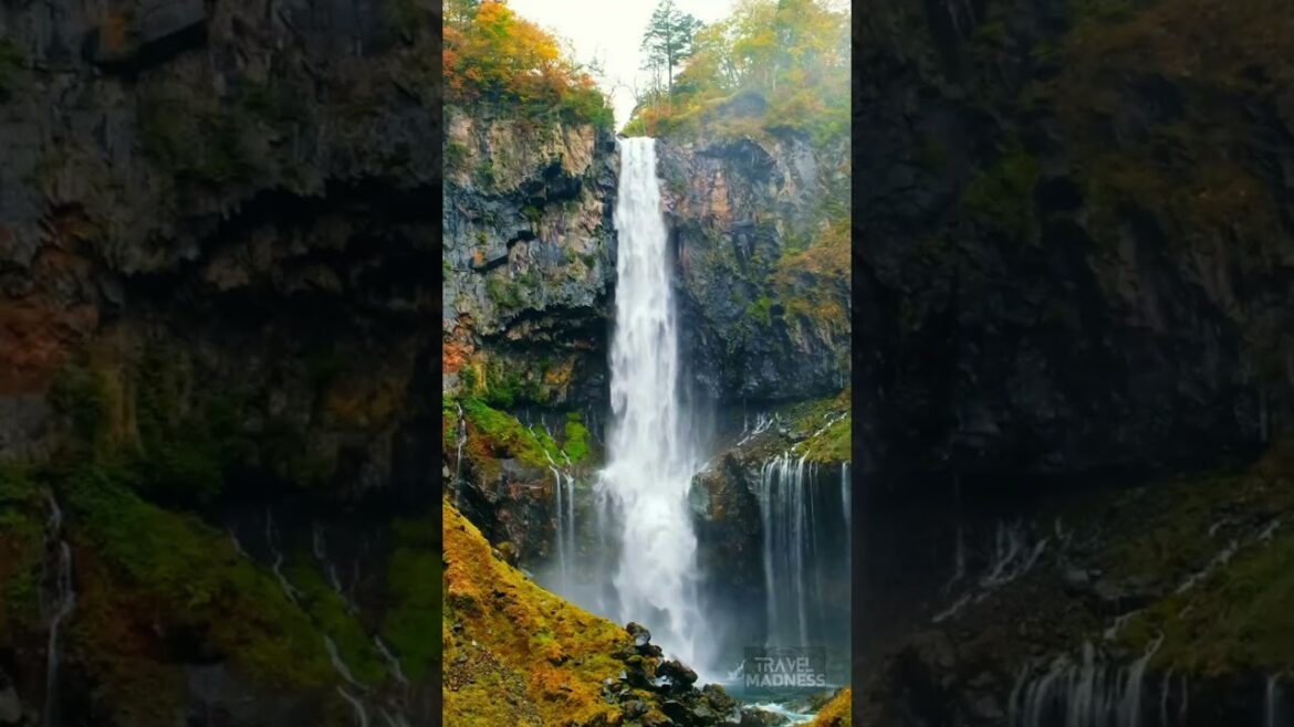 Explore Japan's Hidden Gems #shorts #travel #trending