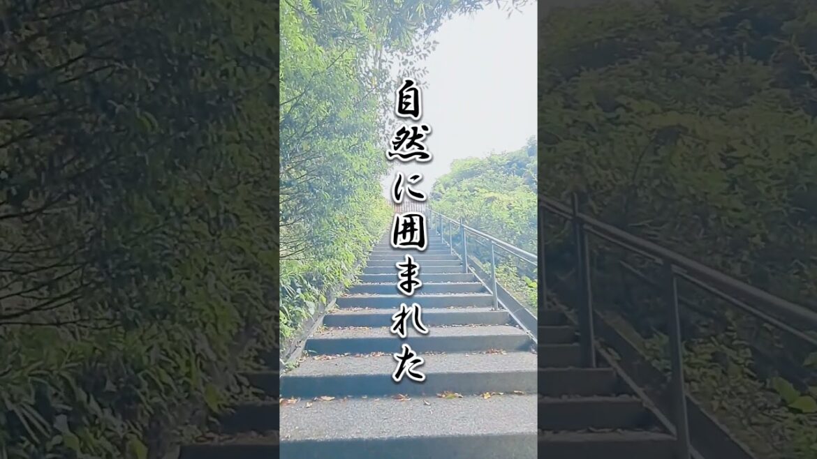 鹿児島の神社巡り。自然に囲まれた聖域。 #日本の風景 #鹿児島観光 #旅