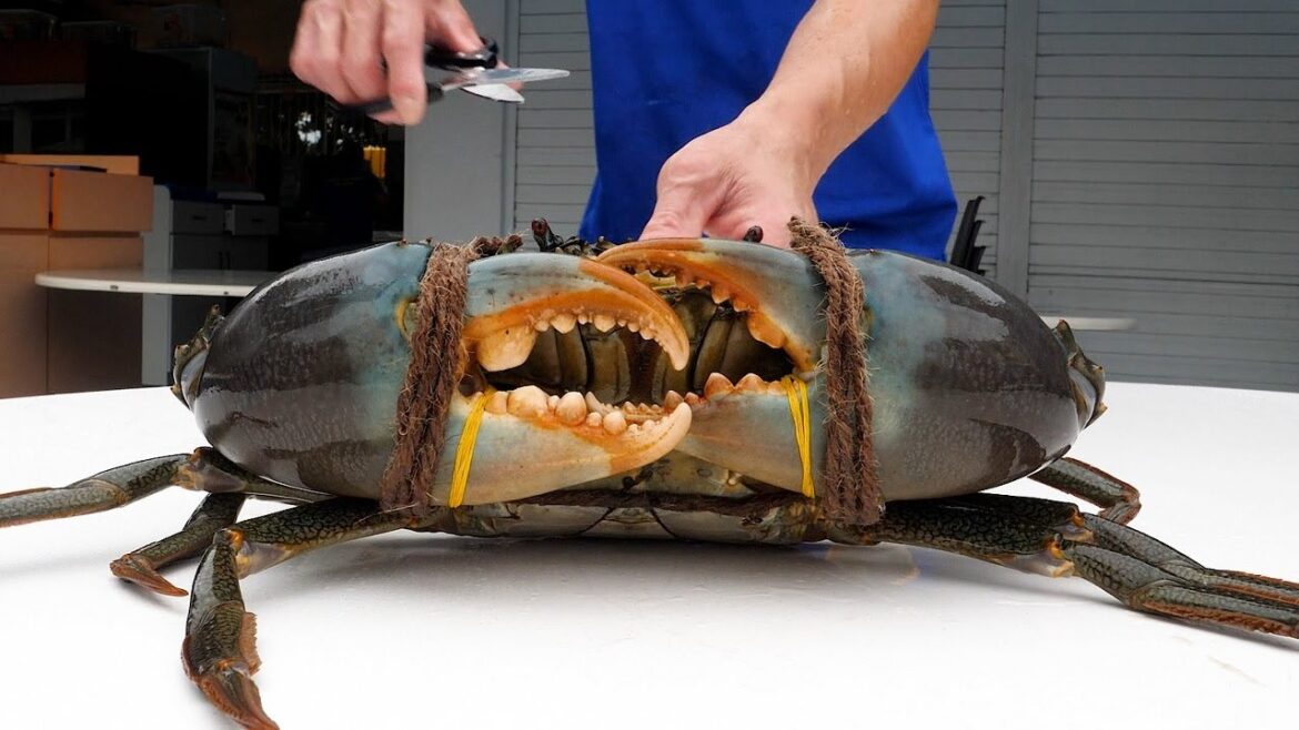 싱가포르 음식 대왕 칠리 크랩 Giant chilli crab, Singapore food 싱가포르 음식 대왕 칠리 크랩 Giant chilli crab, Singapore food