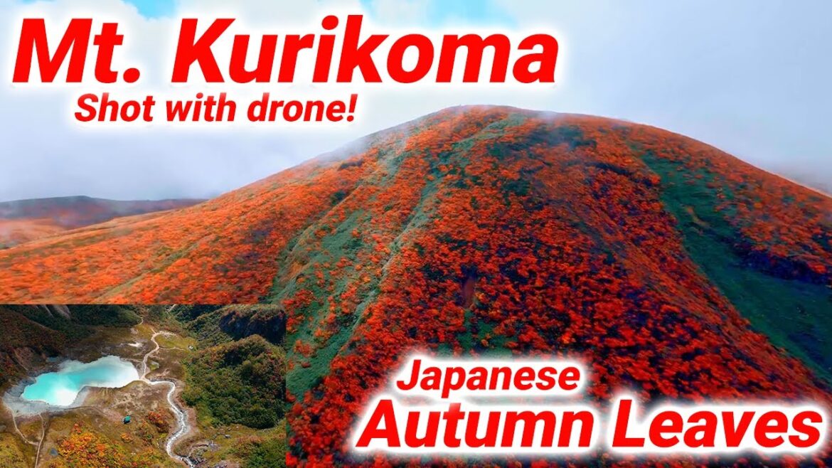 Take an aerial walk through the autumn leaves of Mt. Kurikoma with a drone!