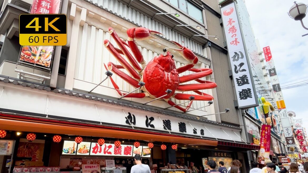 Street Food Journey in Dotonbori | Discover the Taste of Osaka