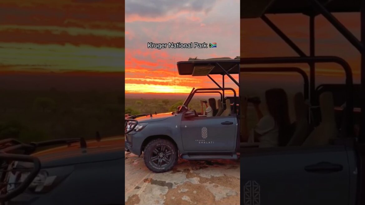 🌴Exploring Unimaginable Places🌊✨😍✈ #travel #nature #explore #adventure #vacation #relaxing