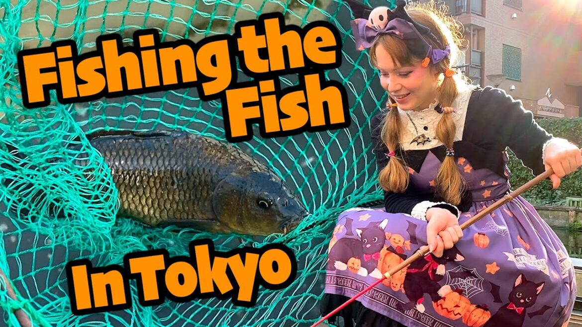 What?! Fishing between SKYSCRAPERS in TOKYO?! | 何?!東京の釣堀に行ってみました! What?! Fishing between SKYSCRAPERS in TOKYO?! | 何?!東京の釣堀に行ってみました!