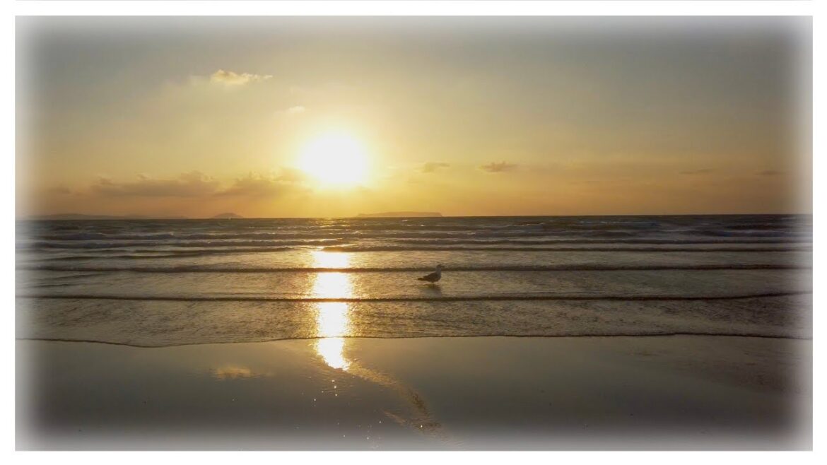 Relaxing Walk Along the Beach at Sunset, Nature Sounds | 4K ASMR | Japan Fukuoka