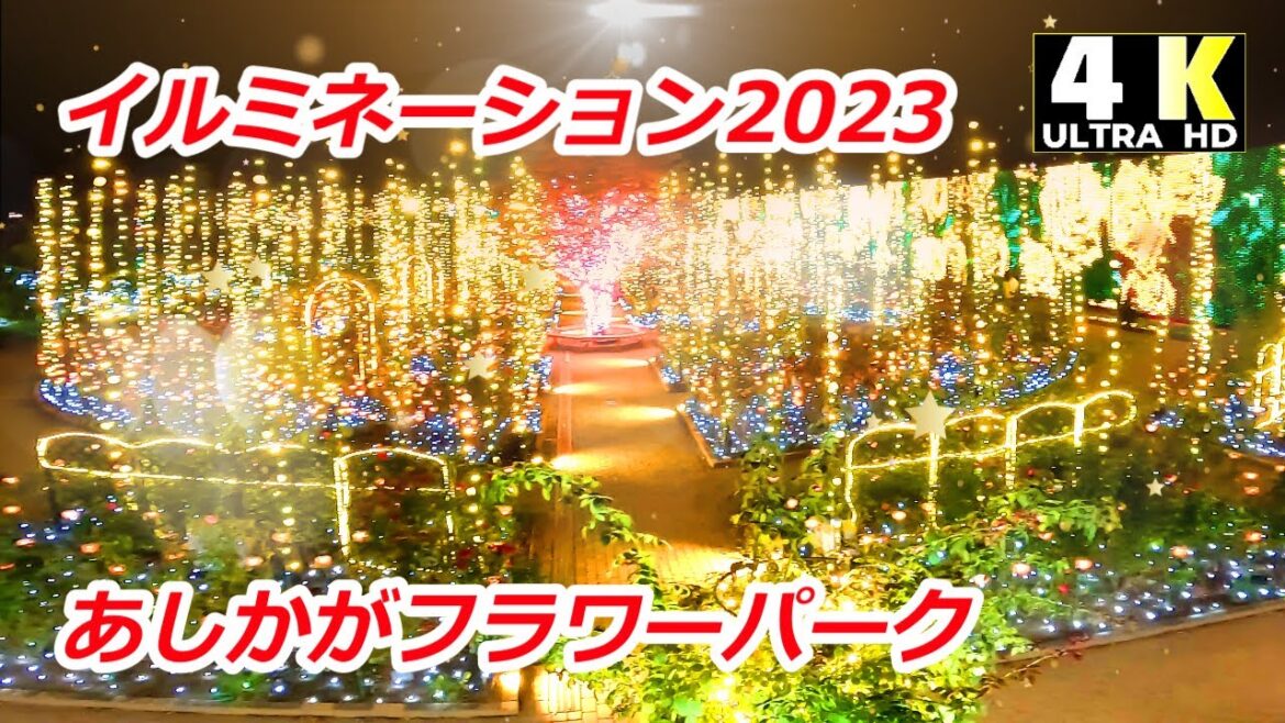 【あしかがフラワーパーク】イルミネ－ション2023ー2024散策【4K】Stroll through Ashikaga Flower Park Illumination 2023.