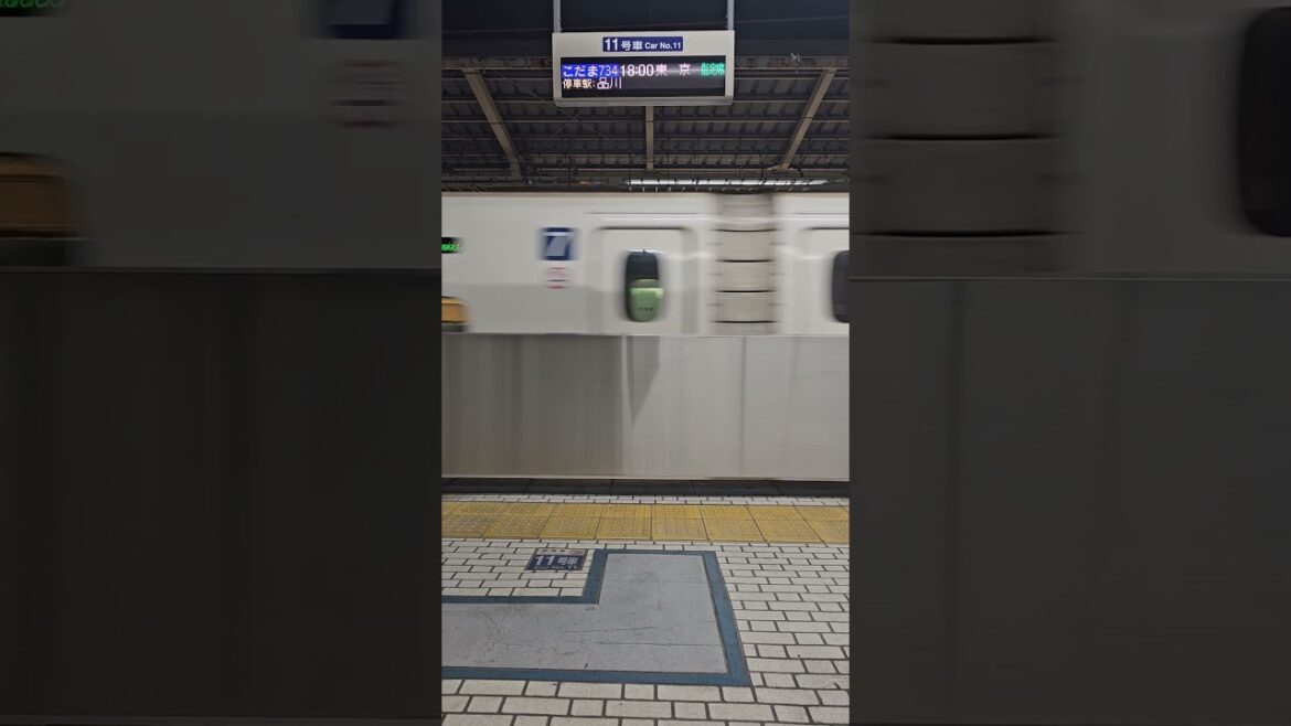 🇯🇵 Welcome to Yokohama 🇯🇵