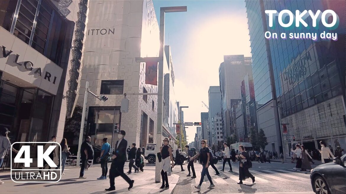 【4K】Cycling in Tokyo under clear skies from Ueno to Harumi(Binaural Tokyo Sounds / DJI Pocket 2) 【4K】Cycling in Tokyo under clear skies from Ueno to Harumi(Binaural Tokyo Sounds / DJI Pocket 2)