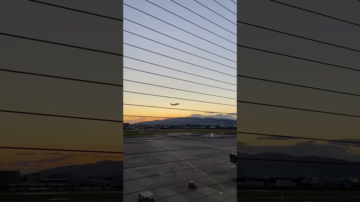 【OSAKA】Good View of Plane Take-Off with Sunset - Itami Airport