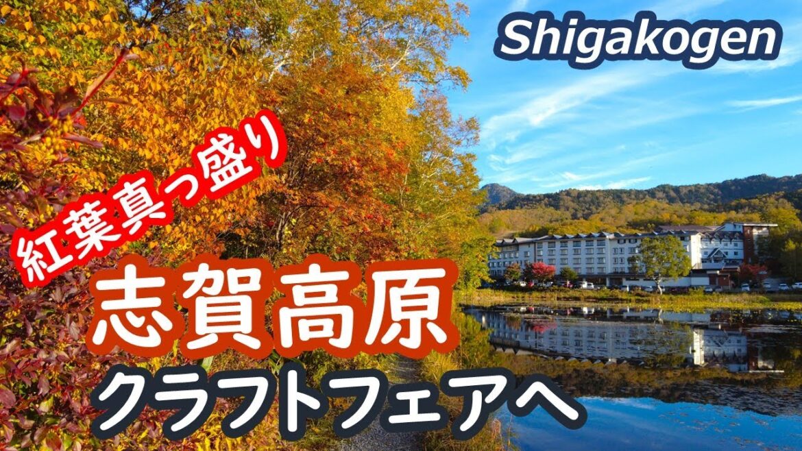 志賀高原のクラフトフェアを訪れ、紅葉真っ盛りの蓮池を歩きました Shigakogen Nagano Japan｜シニア・長野移住ライフ｜田舎暮らし vlog 115
