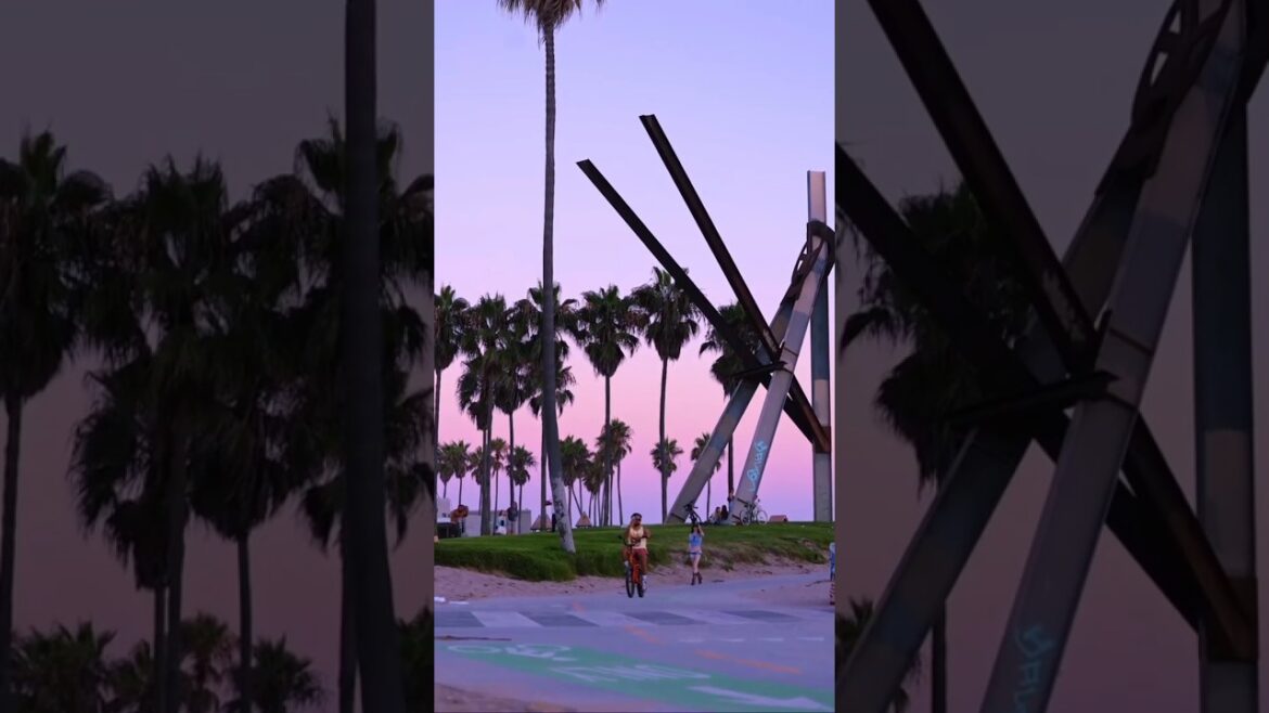 Sunset view LA #shorts #losangeles #discoverla #sunset