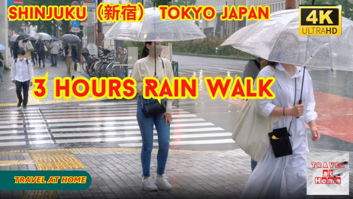 【4k hdr】 3 hours Heavy Rain Walk in Shinjuku(新宿)Tokyo Japan | Relaxing Natural Rain sounds 【4k hdr】 3 hours Heavy Rain Walk in Shinjuku(新宿)Tokyo Japan | Relaxing Natural Rain sounds